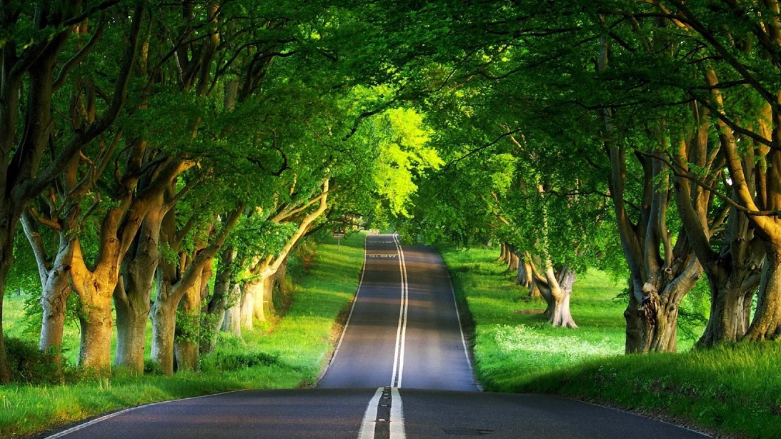 greenroad